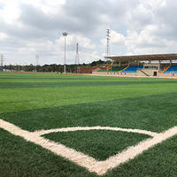 sportgrass8