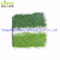 Football/ Golf /Tennis Sports Field Artificial Turf Landscape Garden Outdoor Flooring Artificial Grass