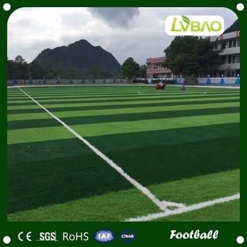 Soccer, Football, Sports with SGS Certified Synthetic Turf