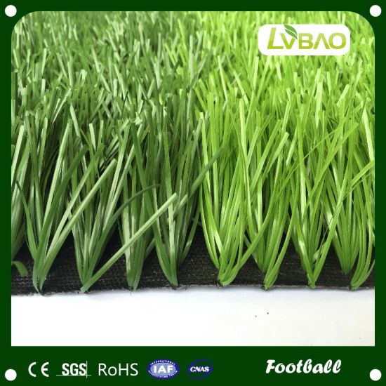 Mini Aquarium Football Cheap Carpet Artificial Grass