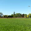  18mm High Density Artificial Landscape Grass Carpet for Garden