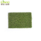 Synthetic Green Lawn Fake Football Carpert Artificial Grass