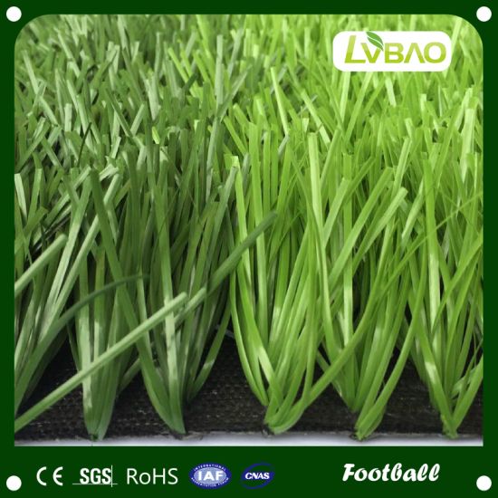 High Density/Dtex Football Soccer Astro Turf/Lawn/Artificial Grass