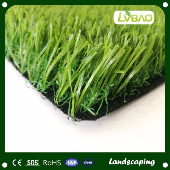 Soft Touch Artificial Grass for Business Area Road Side Roof