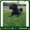 Non Toxic Artificial Grass Pets Care for Commercial Place