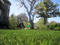 20mm Beautiful Spring Grass Artificial Grass