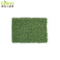 Artificial Grass for Home Artificial Grass Carpet