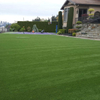 Chinese Golden Supplier Fustal Synthetic Grass Turf Filament Yarn