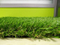 35mm Height Durability Home and Garden Decoration Landscaping Artificial Lawn