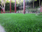 Four Colors PU Backing Landscaping Grass for Garden