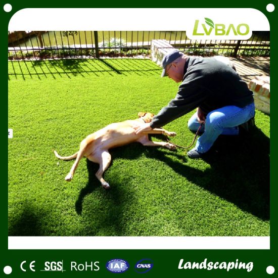 Landscaping Authentic Synthetic Lawn for Garden Application
