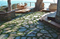 Artificial Turf Grass for Decoration, Landscaping, Garden, Roof etc