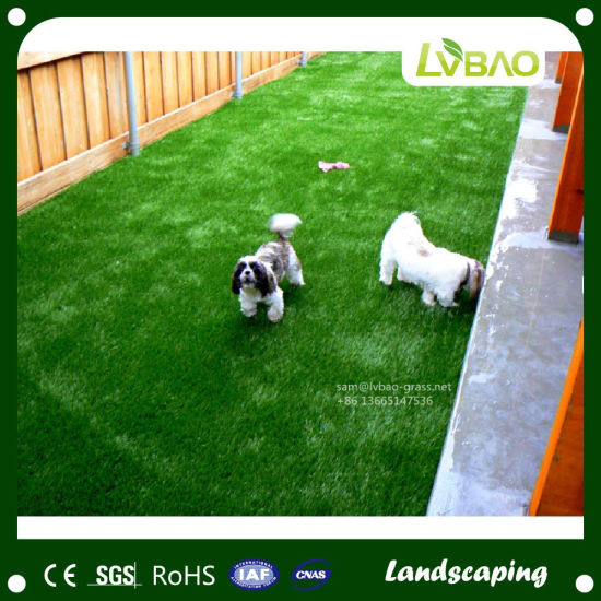 Comfortable Landscaping Garden Artificial Grass for Pet