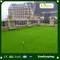 Football Field Green Color PE Monofilament Synthetic Grass Carpet