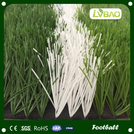 High Density Professional Artificial Grass for Football/Hockey/Tennis