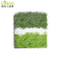 China Flfa Quality Approved Football Grass