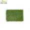 20 mm Natural Looking Landscape Synthetic Artificial Grass