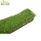 Turf Artificial Grass