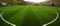 Classic Football Grass