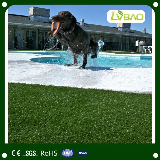 High Quality Natural Green Fake Grass with Ce Certification