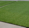 Astro Turf Syn Lawn Artificial Grass with Durable Quality and Reasonable Price