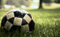 Artificial Grass Turf for Football, Tennis, Playground and Landscaping