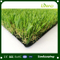 Landscape with Artificial Grass Waterless Lawn