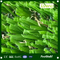 Sport Grass for Outdoor Football Sport Surface Artificial Carpet
