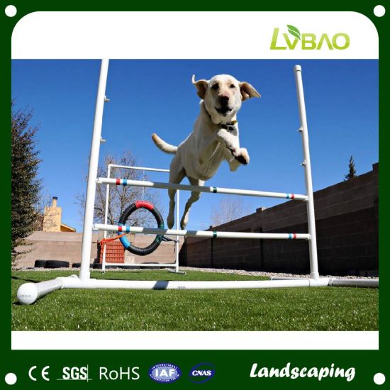 Four Colors Landscaping Decorative Green Artificial Grass for Gardens