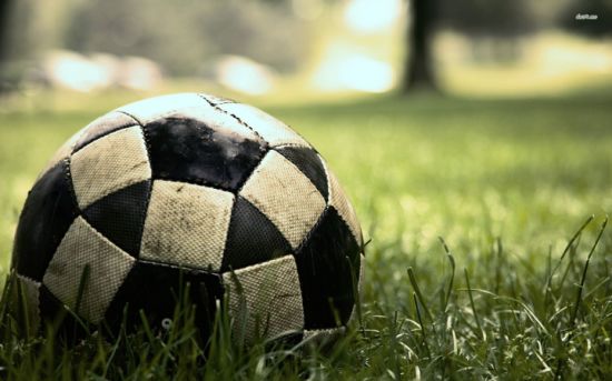 Fifa Quality Football Grass for Premier League