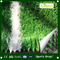 30mm Aquarium Artificial Grass for Football