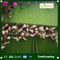 High Landscaping Artifical Lawn Green Grass Carpet for Garden
