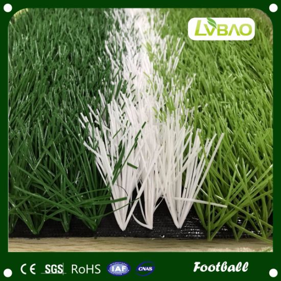 Double Color Pile Height 50mm Football Field Synthetic Grass Carpet