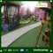 25 mm High Quality of Landscape Grass