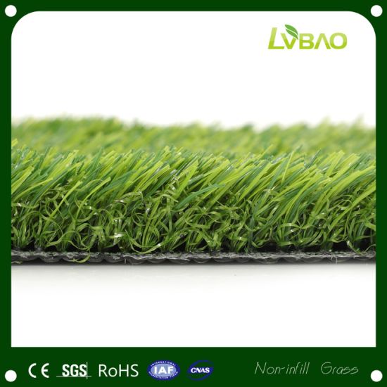 School Court Club Court Professional Artificial Football Grass