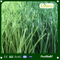 Football Soccer Artificial Grass