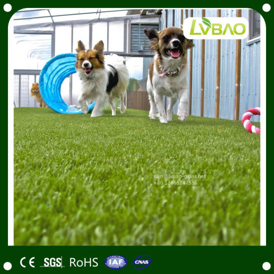 Non Toxic Artificial Grass for Pets