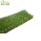 Hot Sale Landscape Grass in Britain