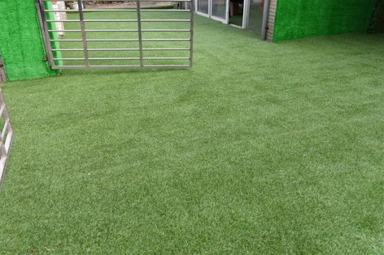 Four Colors PU Backing Synthetic Turf with Reasonable Price