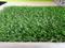 Popular Sale Landscaping Grass Made in China
