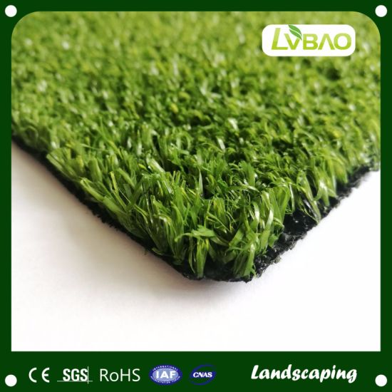 Soft Touch Artificial Grass for Business Area Road Side Roof